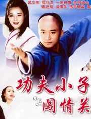 功夫小子闯情关